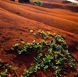 《河洛群侠传2》明教介绍 关键人物和剧情悬念